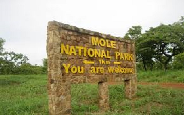 Mole Park